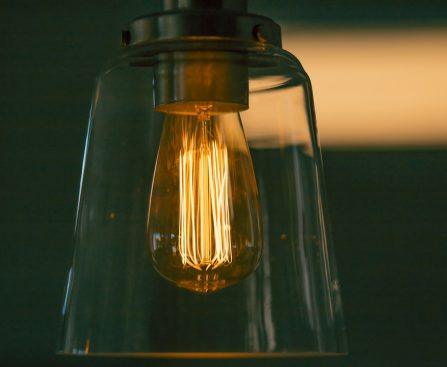 Photo Edison bulbs